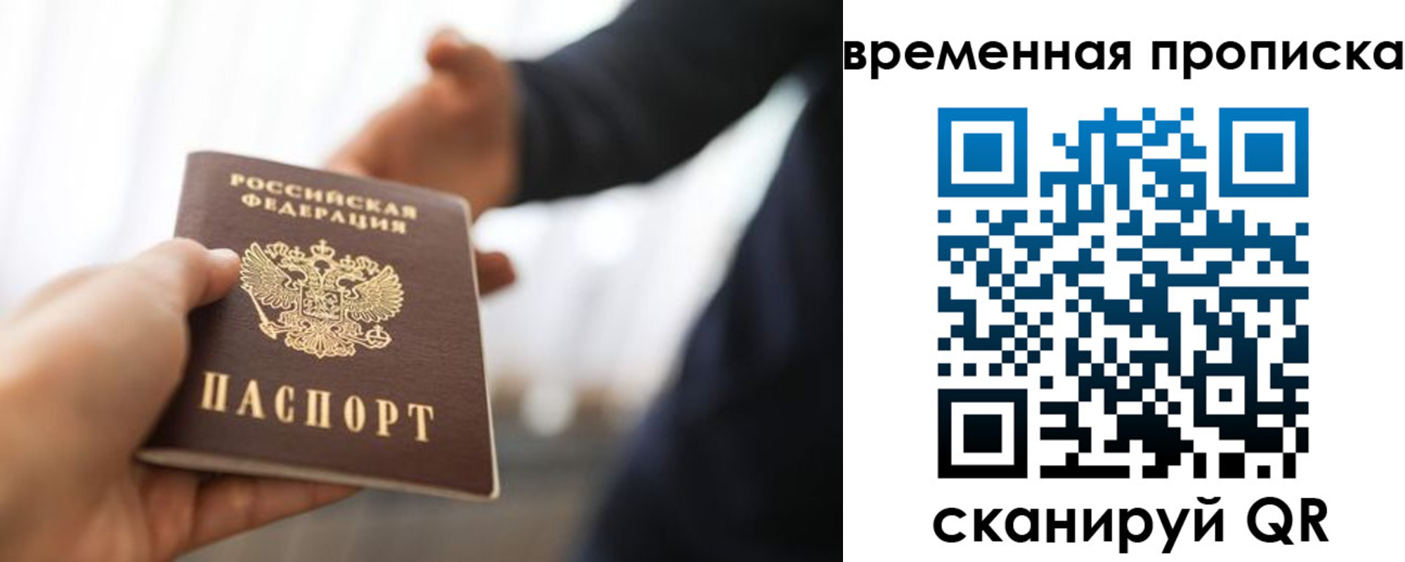 прописка 2025 в Ногинске